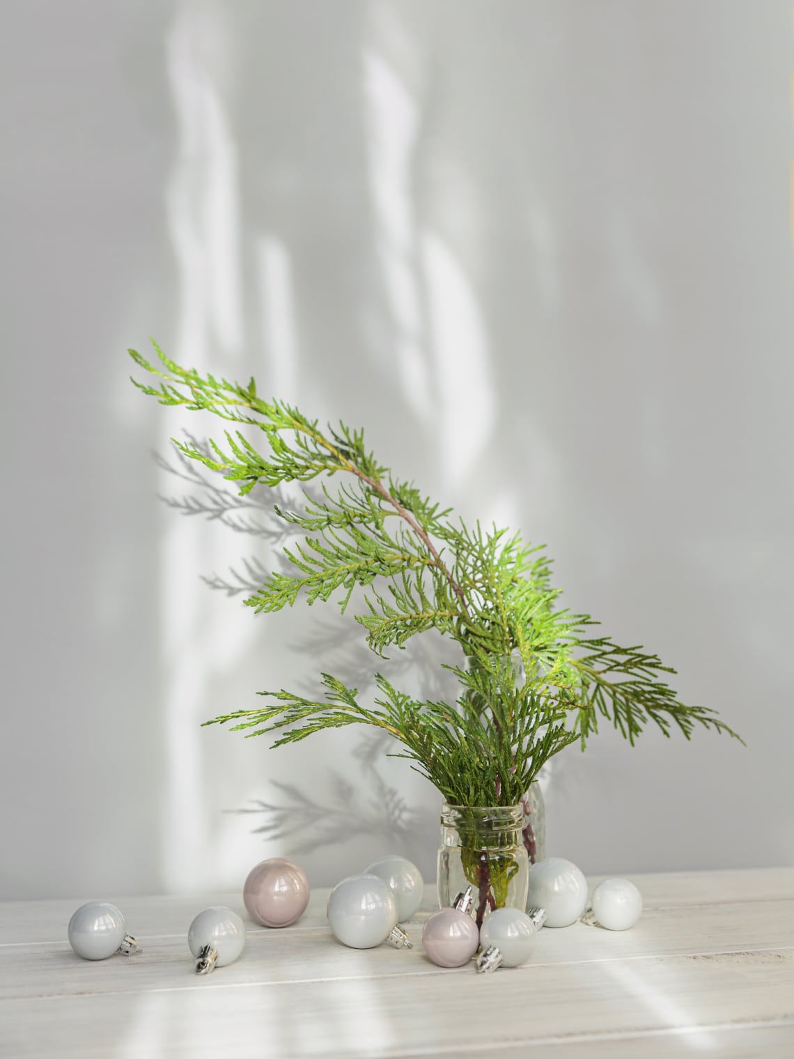 Ciprusok és cédrusok