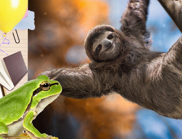 „A zöld burgonya megölhet.” – 10 bizarr, de igaz tény, amitől eldobod az agyad