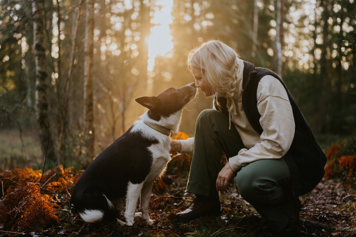 Rákot, személyiséget, terhességet: hihetetlen, mit szagolnak ki a kutyák