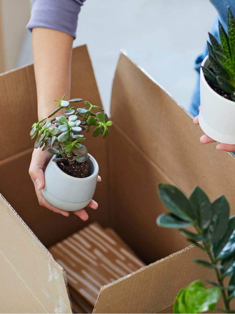 Használj dobozokat vagy ládákat