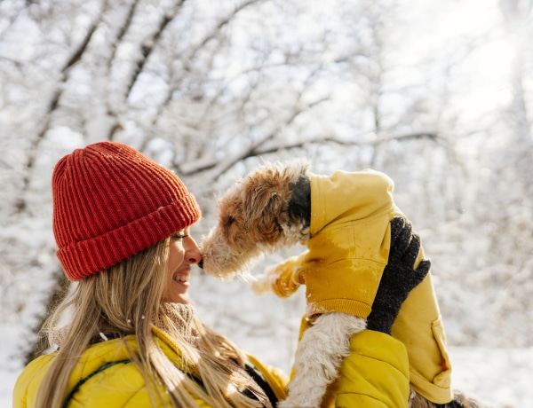 Ennyivel hosszabbíthatja meg az életedet, ha kutyát tartasz
