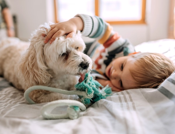 A kisgyerekek és a kutyák egyforma szociális intelligenciaszinten vannak