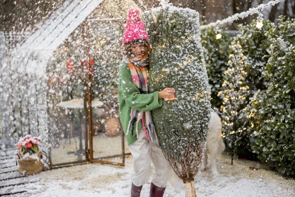 Így szabadítsd meg az autód és az otthonod a fenyőgyantától és a tűlevelektől