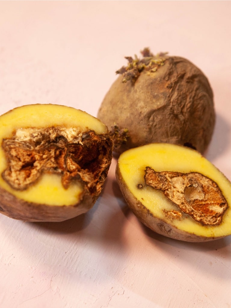 Ki jön, ha nem a Mikulás?