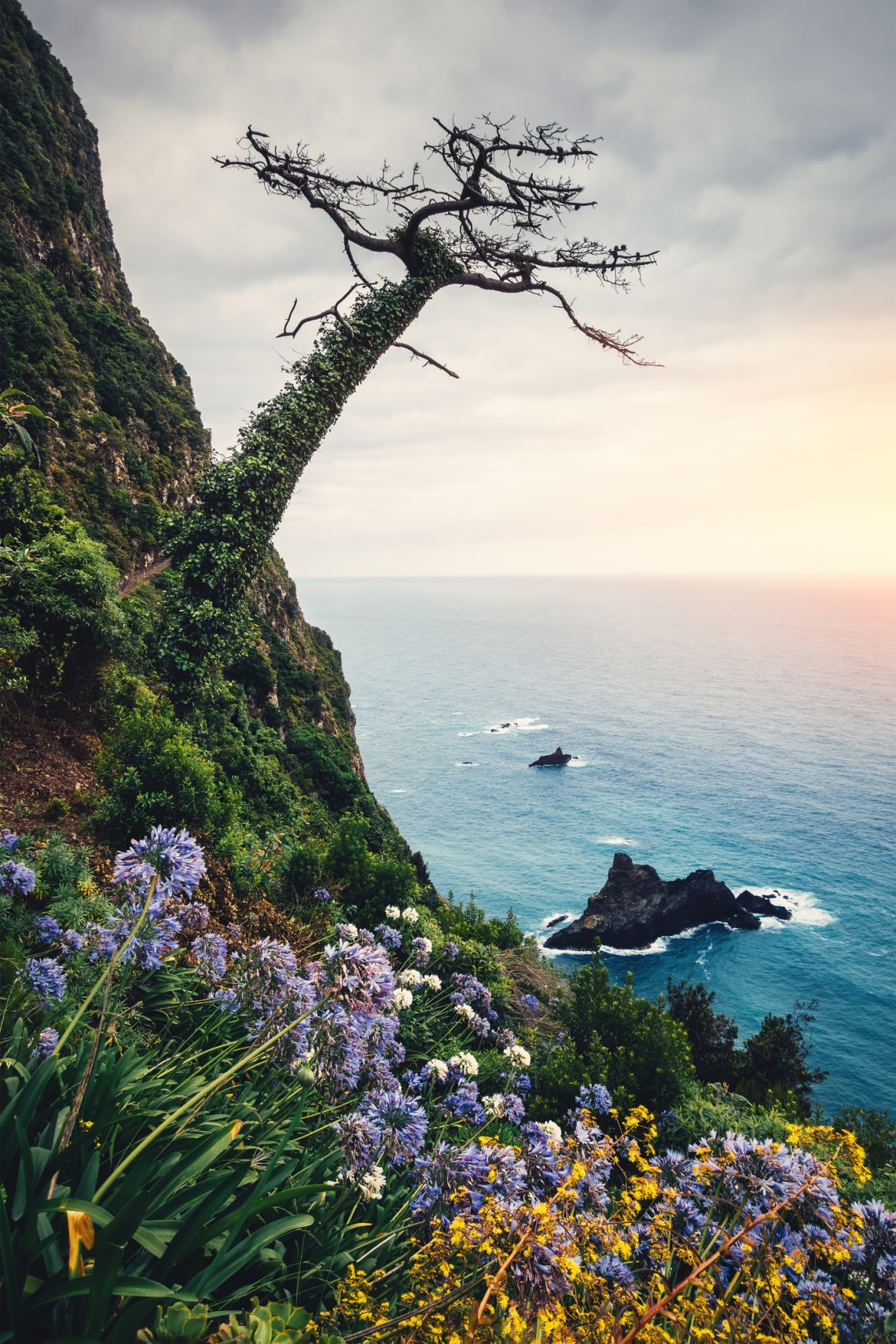 Madeira, Portugália
