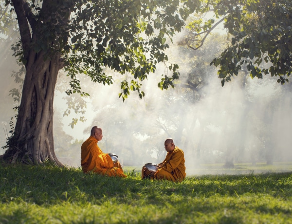 3 mérgező tényező van az életedben. 10 örök buddhista igazság