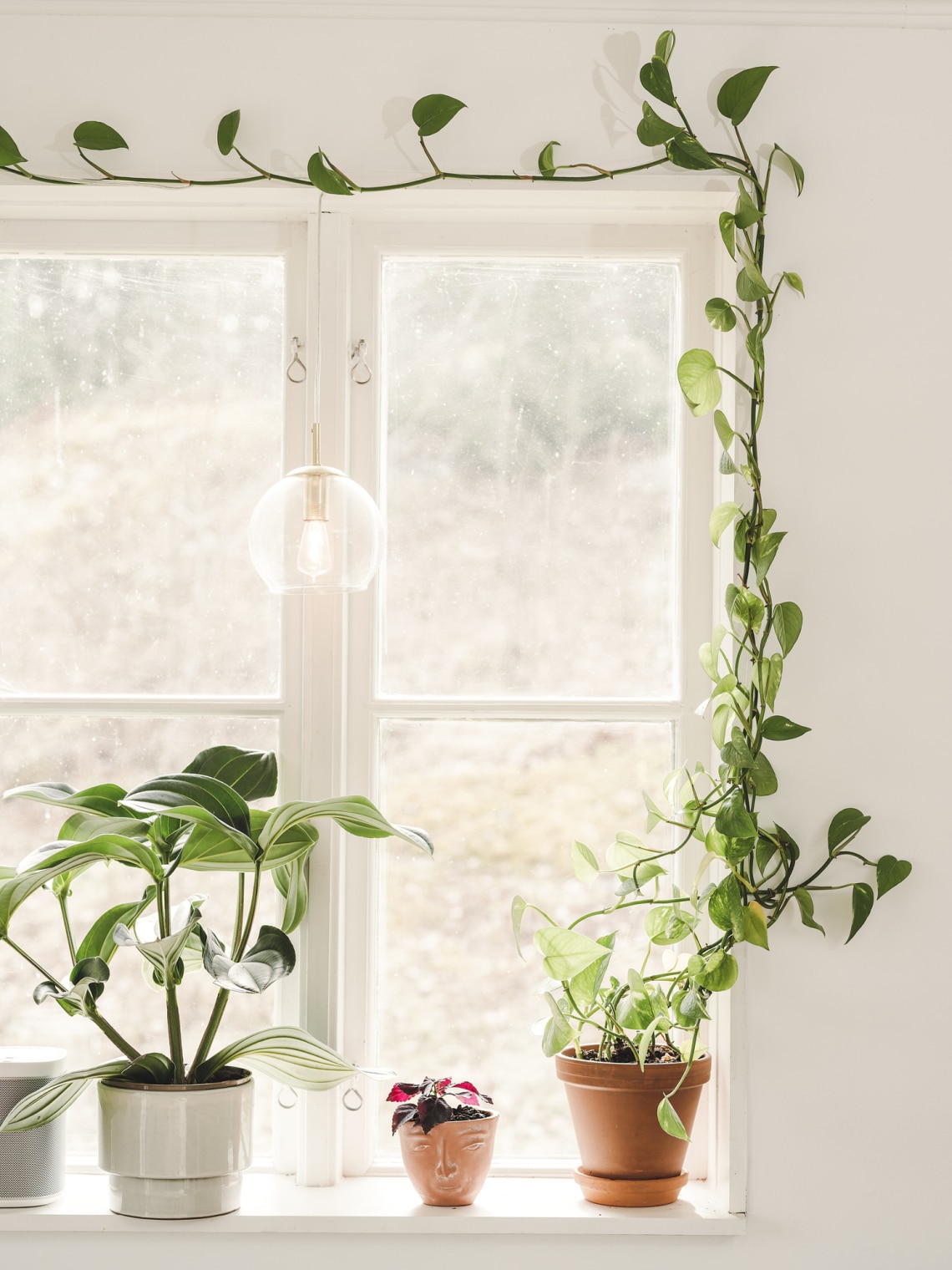 Szigetelés és hőszigetelés