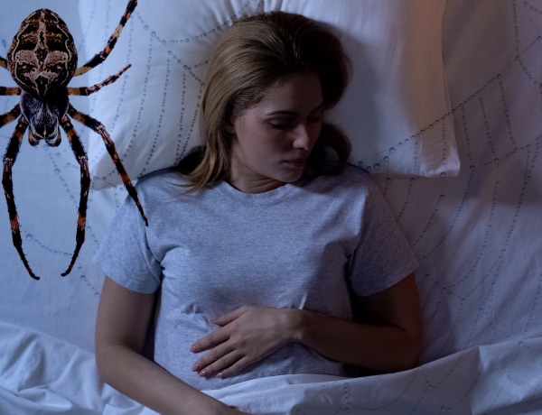 Ezt kell tudnod, ha pókokat látsz álmodban