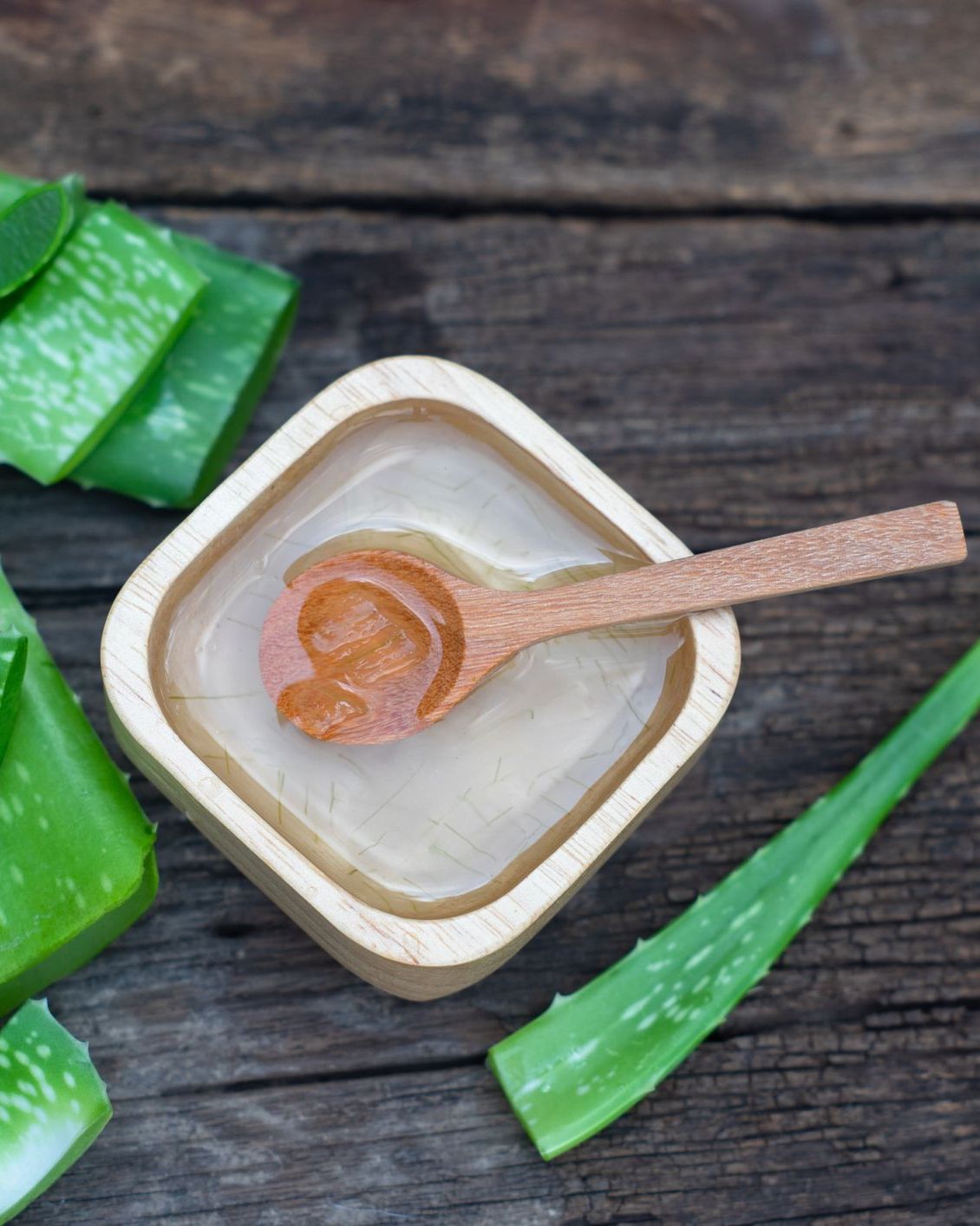 Aloe vera