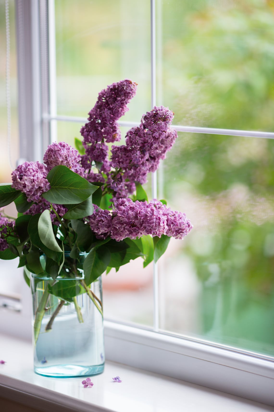 A 2-es szám: orgona