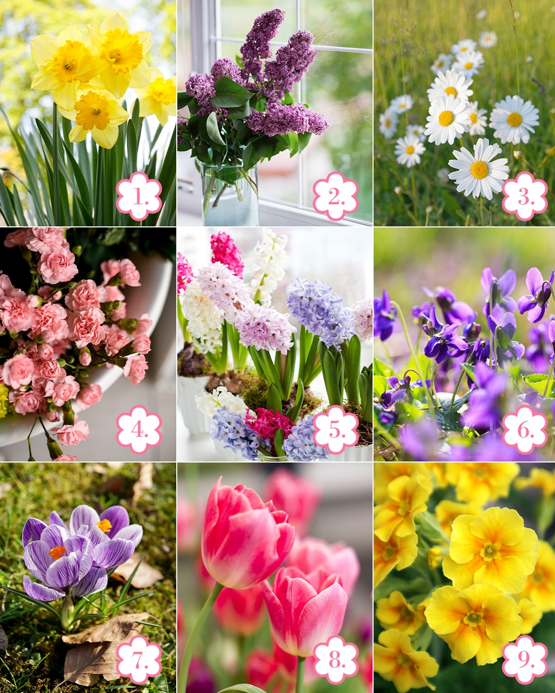 Válassz egy virágot!