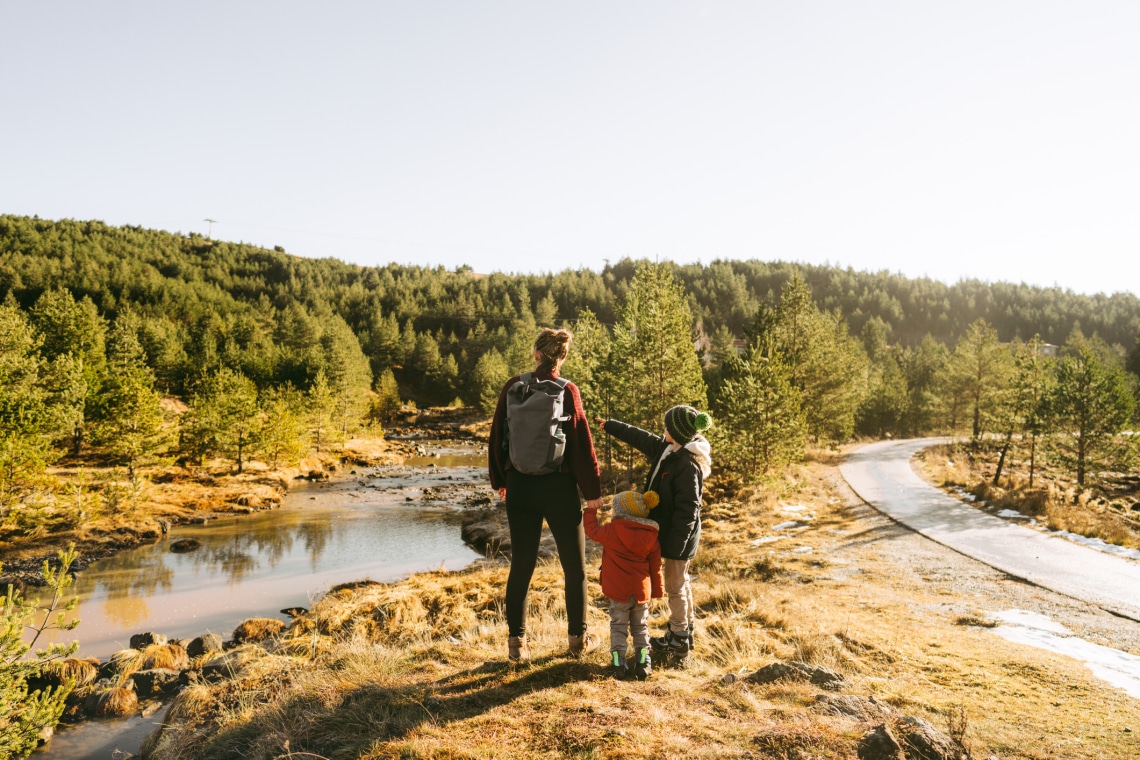 8 növény és állat, amit soha semmilyen körülmények között ne fogdoss meg
