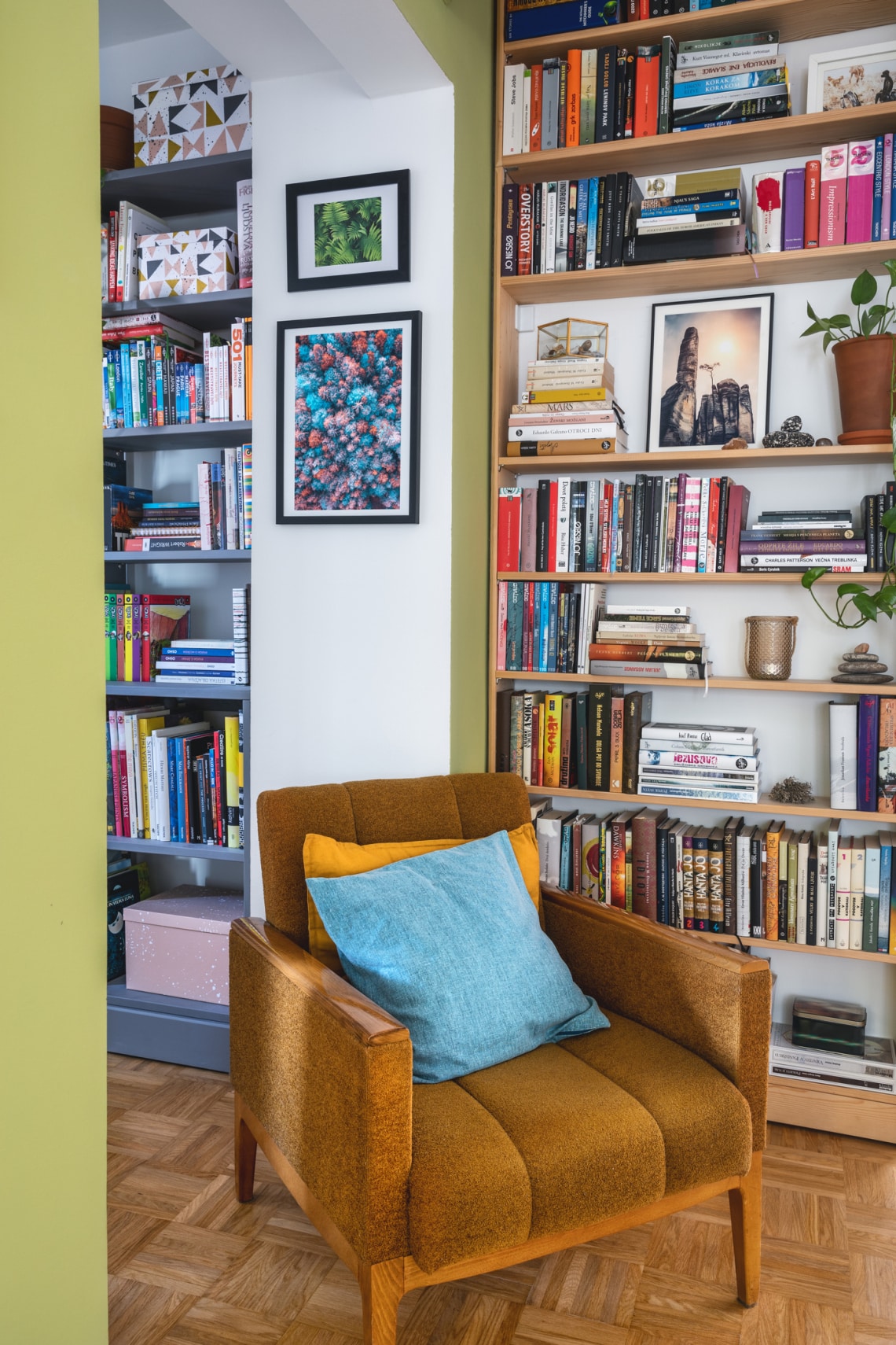 Nyilas: Ideje rendszerezni a könyvespolcodon