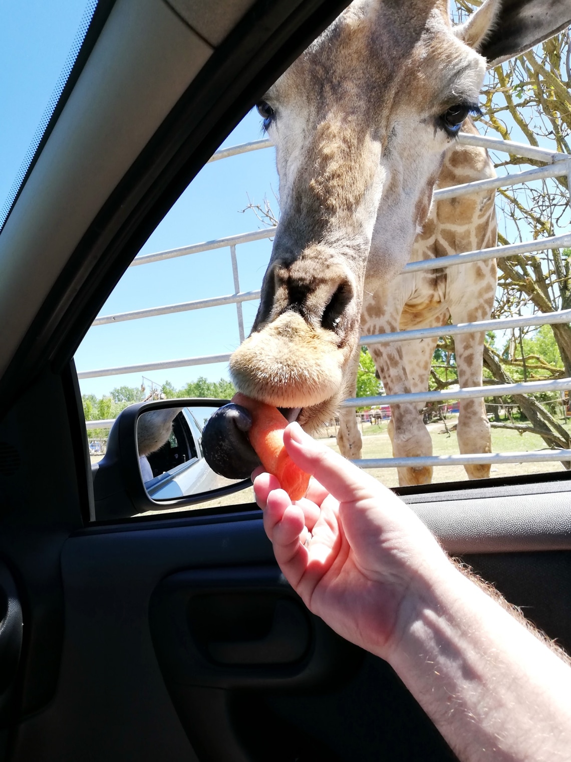 Richter Safari Park – Nagykőrös