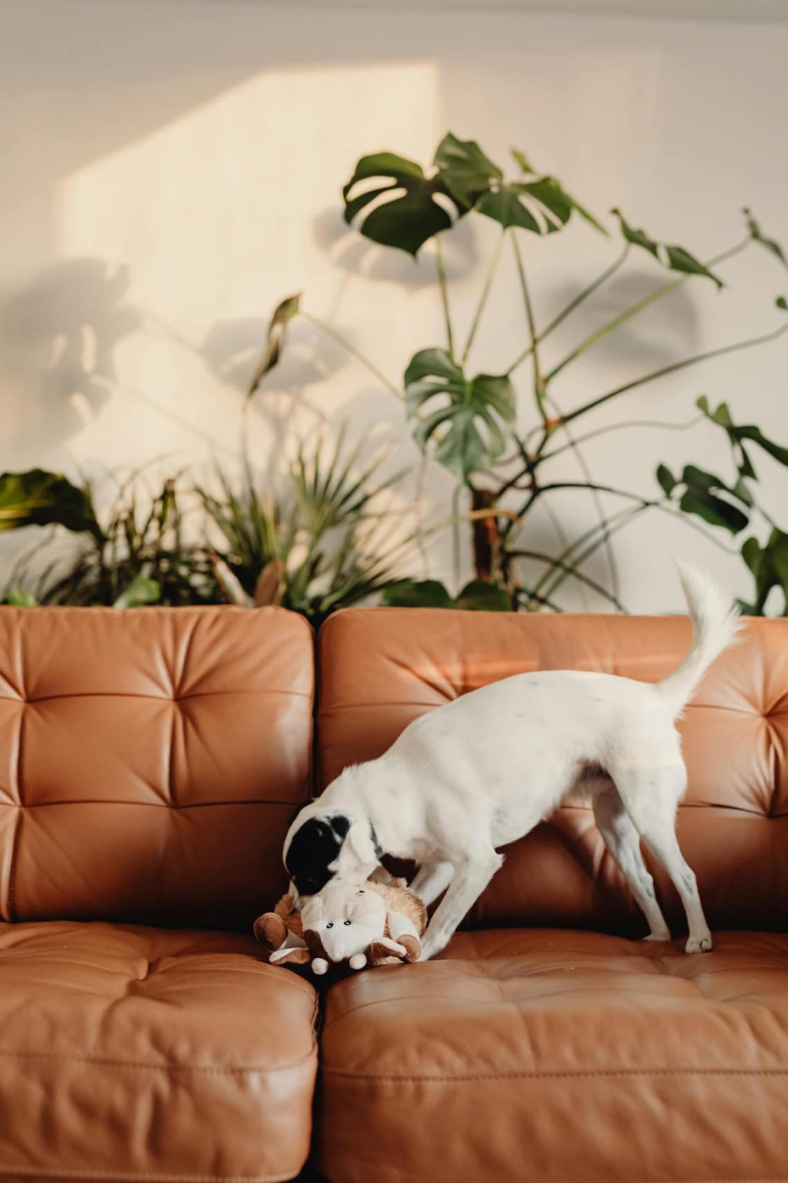 Hergeled a játékával