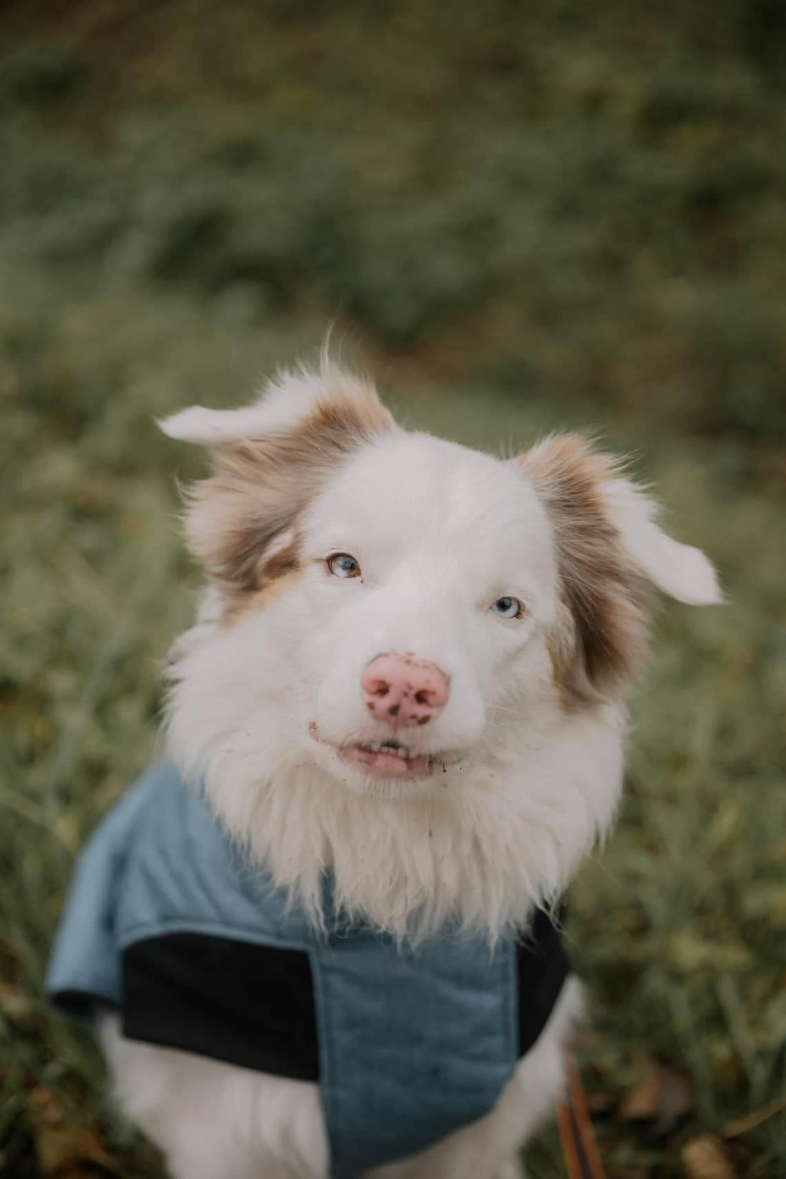 Túl sokáig bámulod