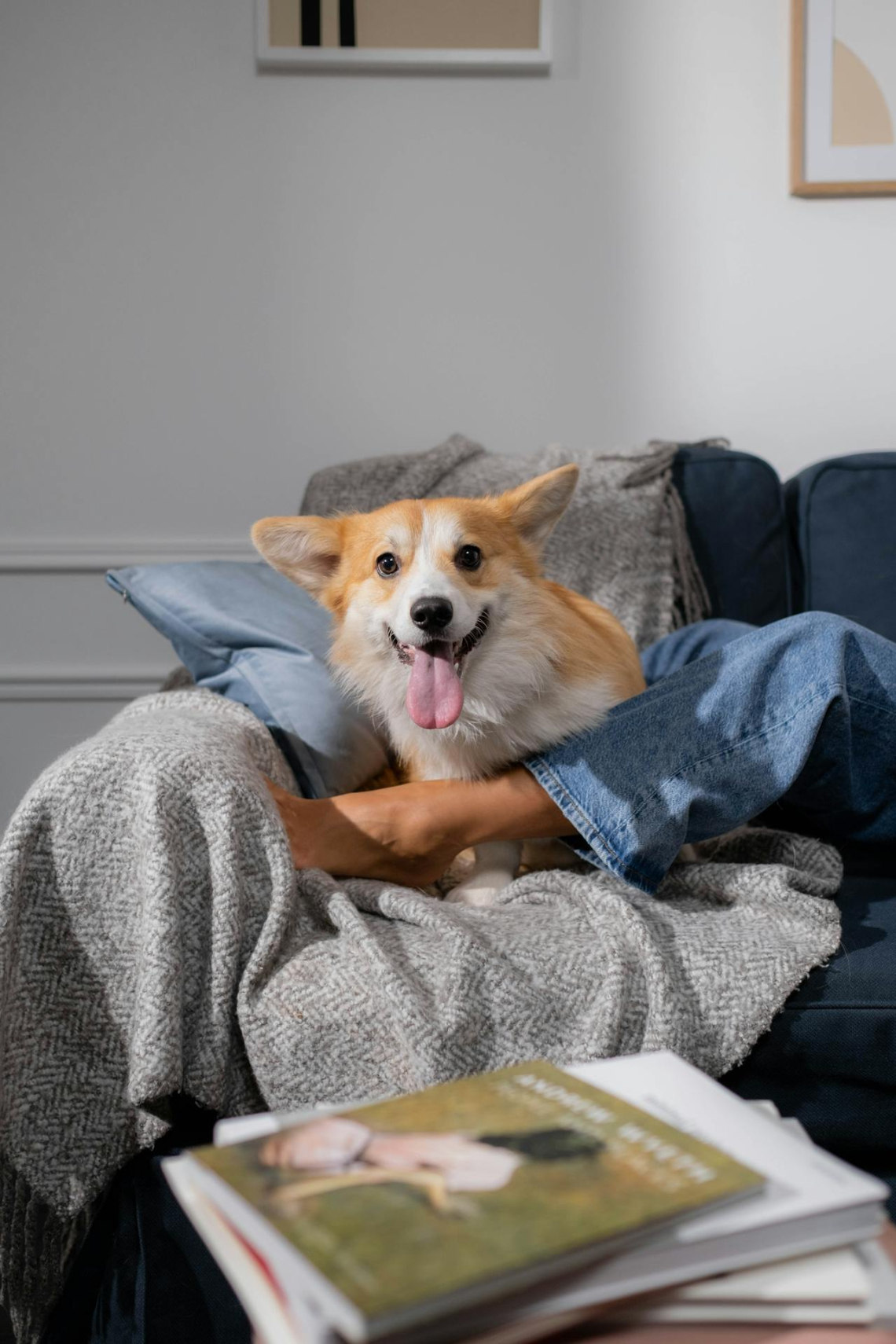 Megváltoztatod a szabályokat