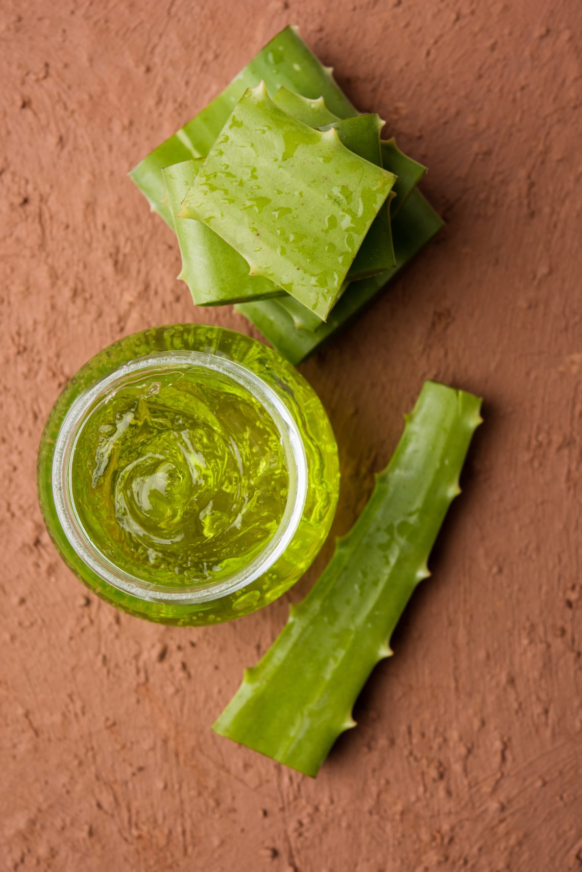 Aloe vera