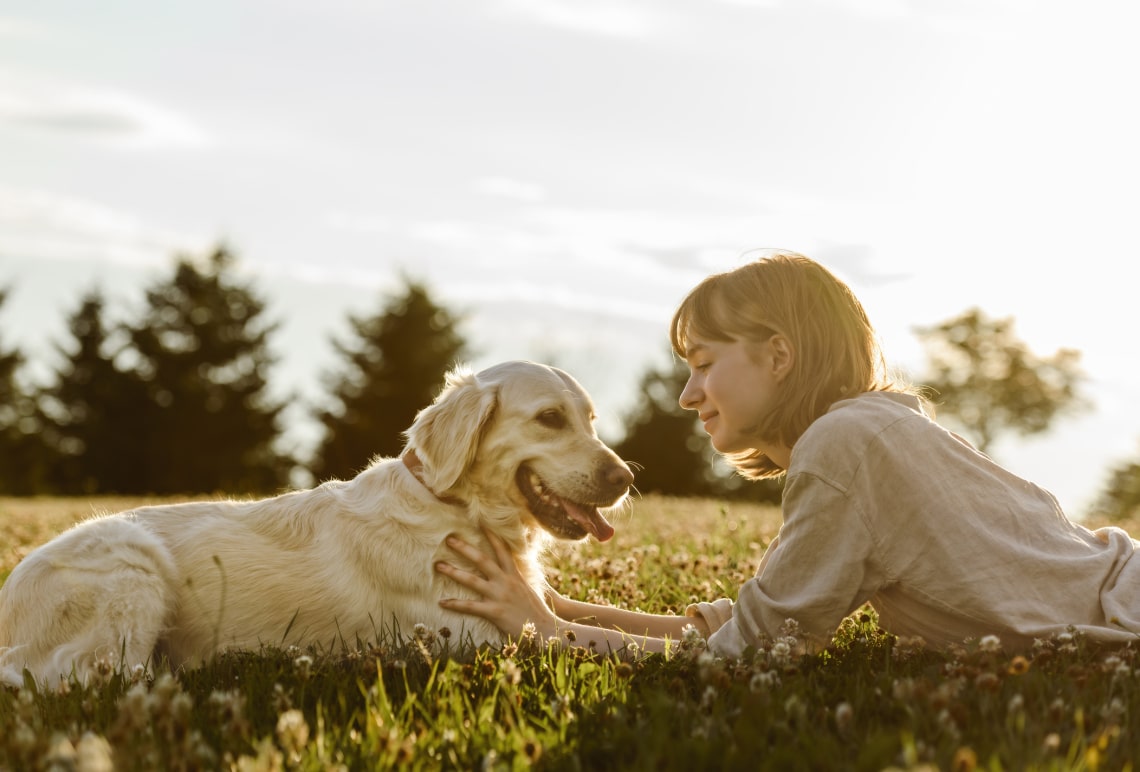 Akkor is leül a kutyád, ha azt mondod „fül”? Mit ért valójában a szavaidból?