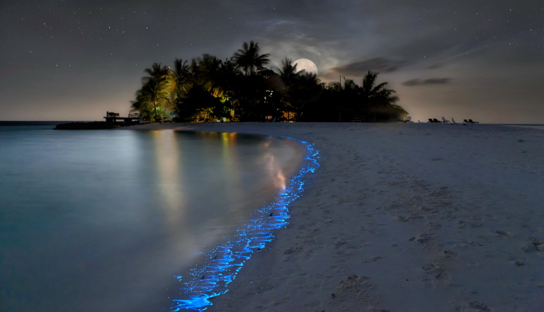 A csillagok fürdenek itt a tengerben: ez a Maldív-szigetek egyik legszebb látványossága