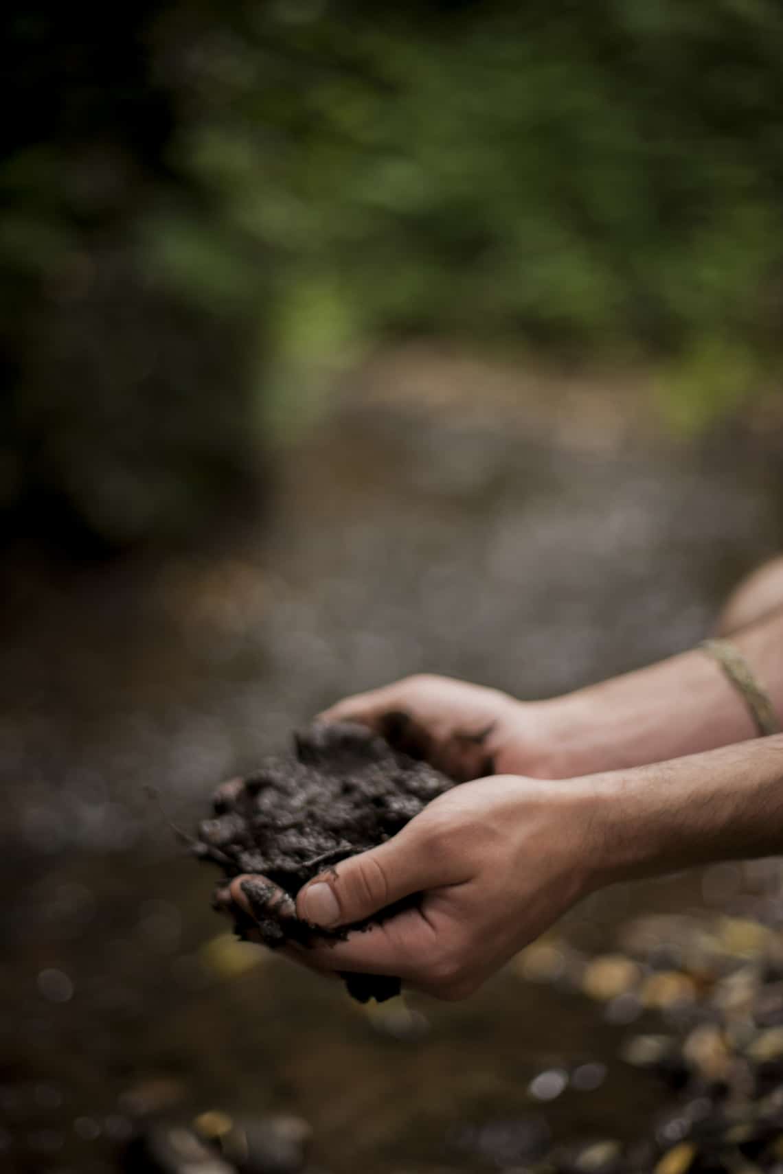 Hogyan lehet tesztelni a talaj pH-értékét ecettel?