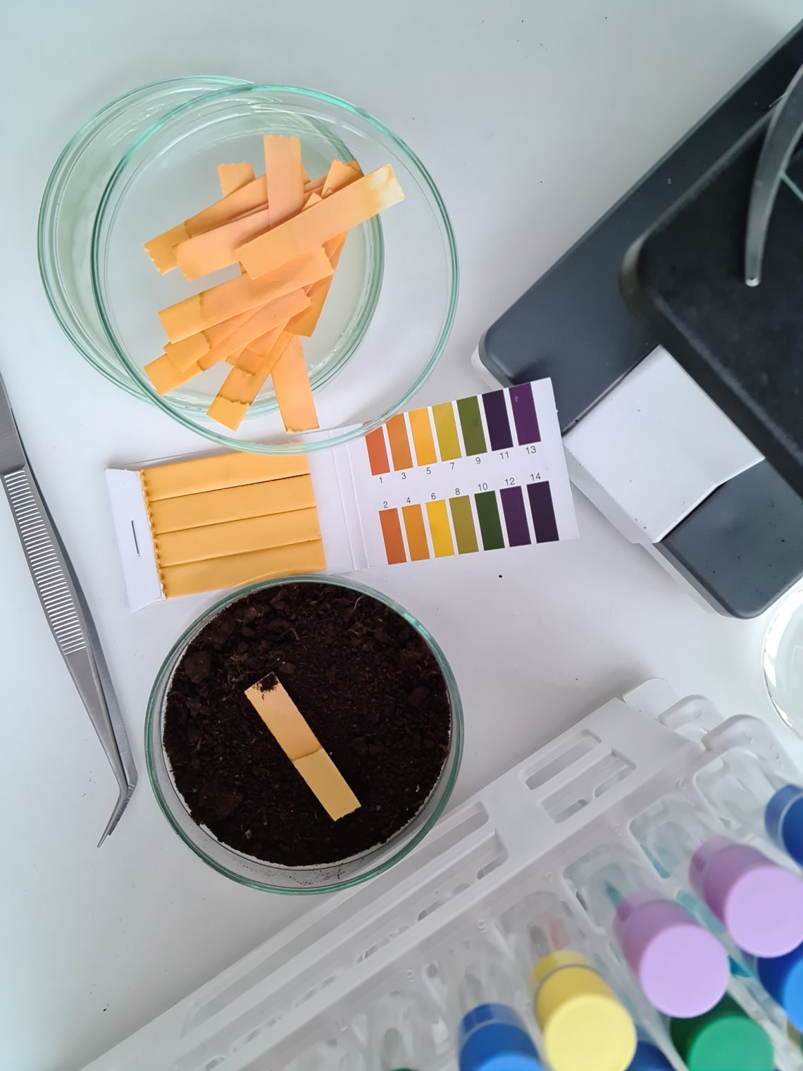 Hogyan lehet tesztelni a talaj pH-értékét tesztcsíkokkal?