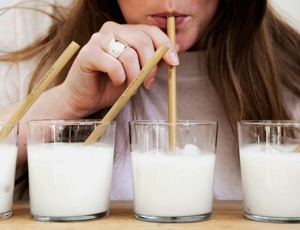 Így döntheted el, hogy melyik tej a legjobb számodra