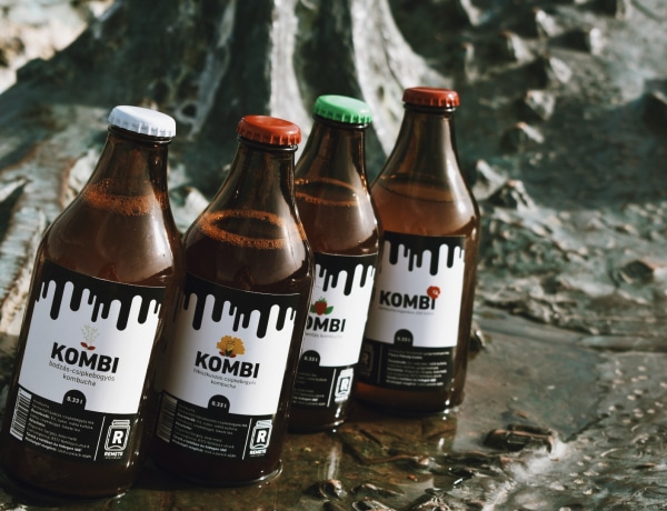 Szakácsból lett őstermelő, ma különleges kombucha italokat készít a Kombi megálmodója