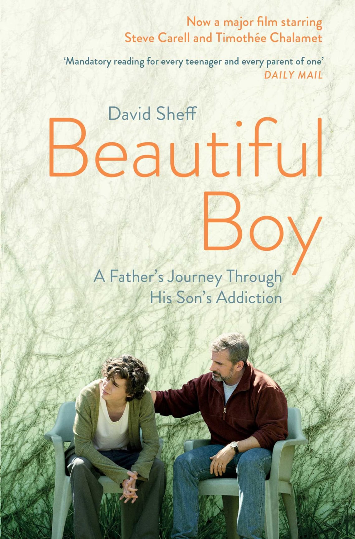 Beautiful Boy (2018)
