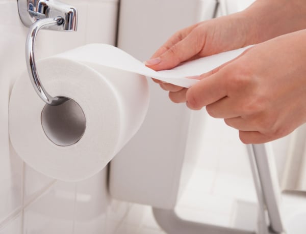 A WC papír gyártás titka: hogyan jut el a fától a fürdőszobáig?