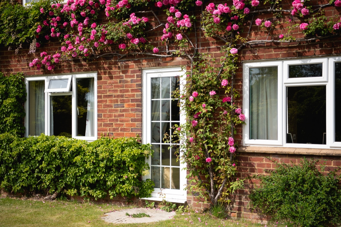 5 futónövény, ami gyorsan mesébe illővé teszi az otthonodat