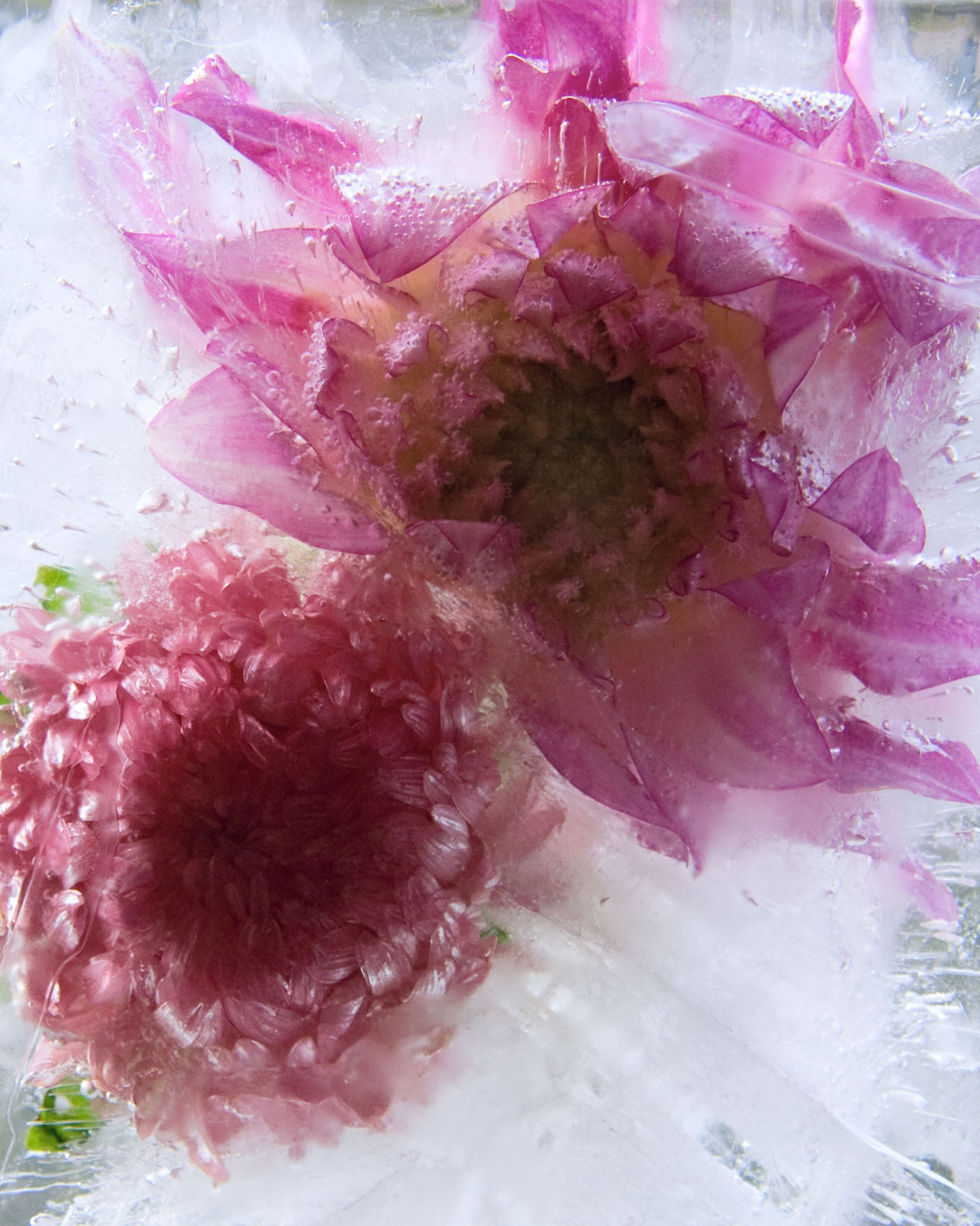 Szilikagéllel történő csokor tartósítás