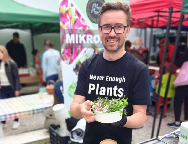 Mikrozöldek termesztésére cserélte a nagyvállalati környezetet József, ma a MikroManna büszke tulajdonosa