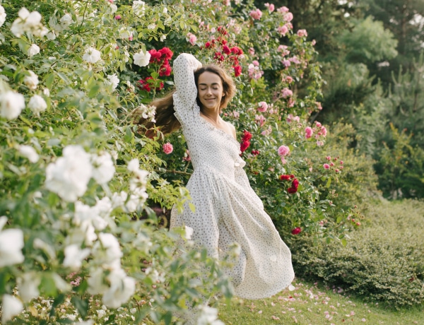 Imádni fogod őket: a 10 legfinomabb illatú rózsa a kertbe