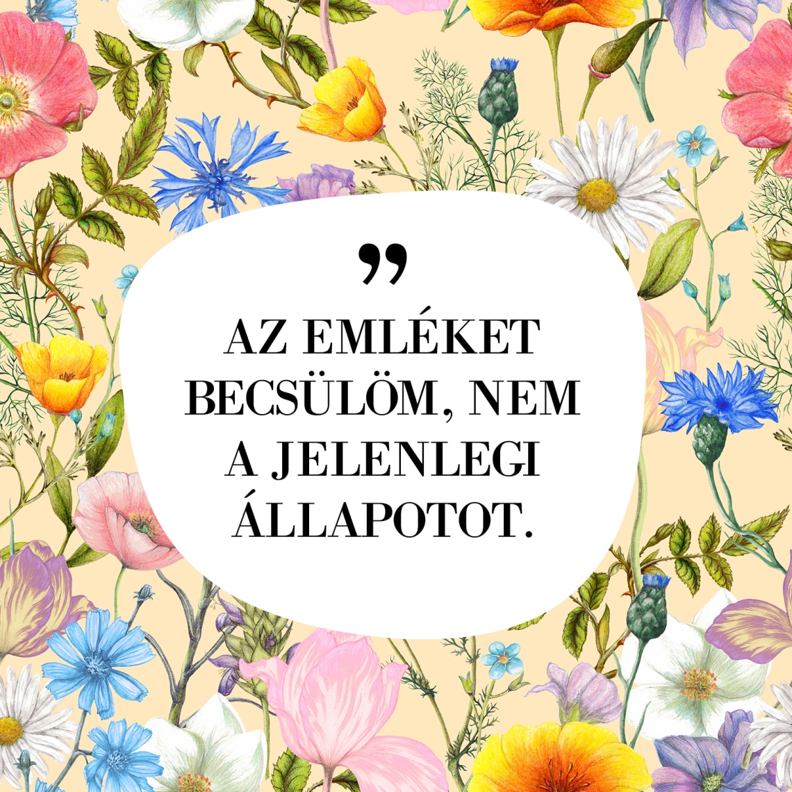 „AZ EMLÉKET BECSÜLÖM, NEM A JELENLEGI ÁLLAPOTOT”.