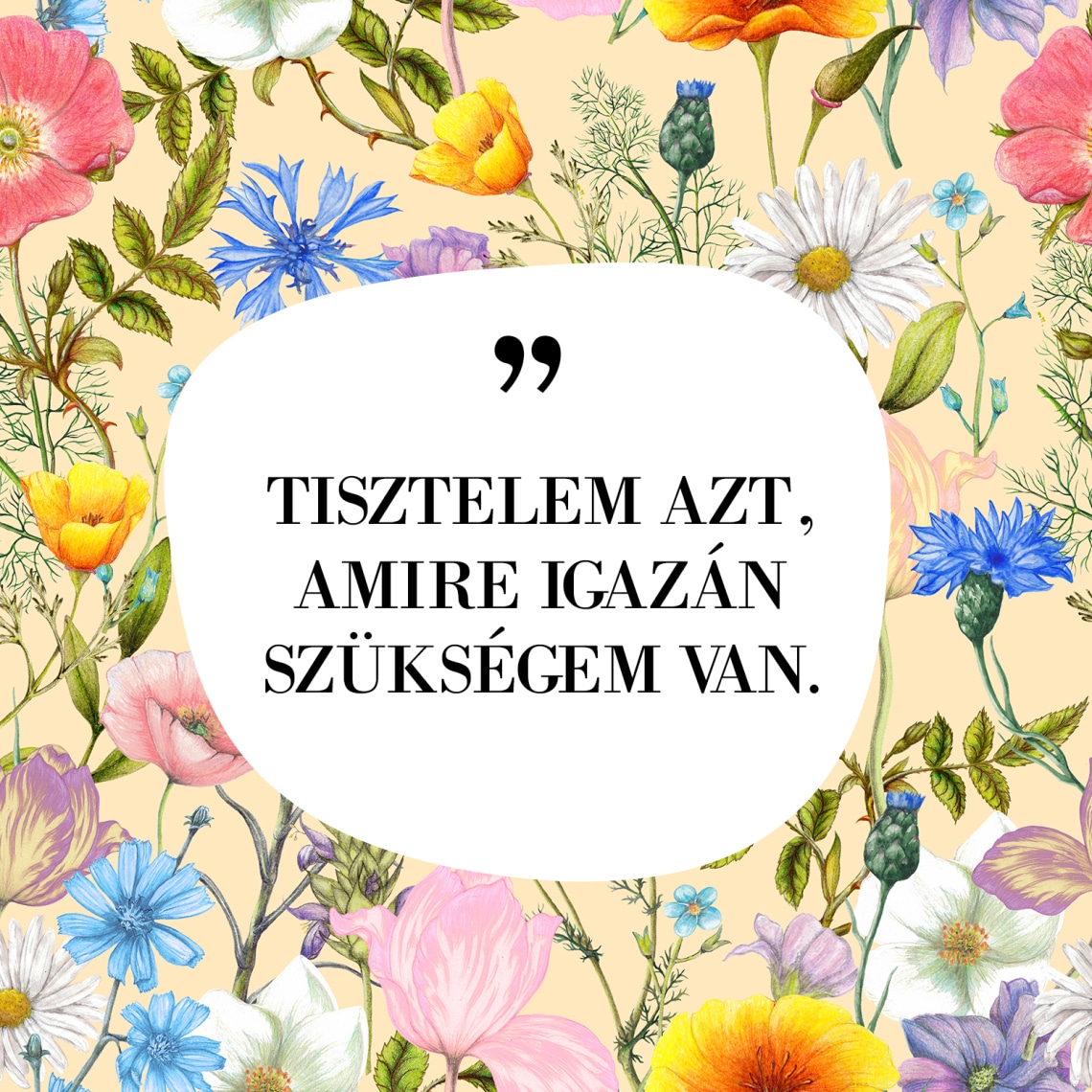„TISZTELEM AZT, AMIRE IGAZÁN SZÜKSÉGEM VAN.”