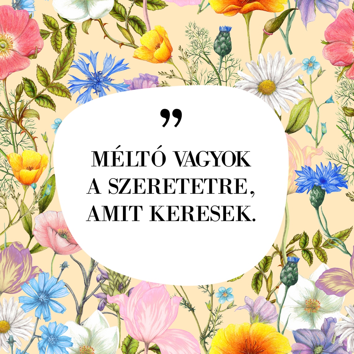 „MÉLTÓ VAGYOK A SZERETETRE, AMIT KERESEK.”