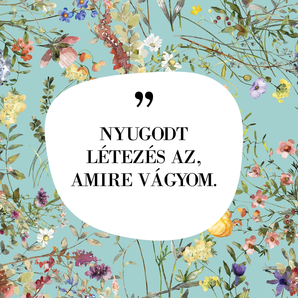 „NYUGODT LÉTEZÉS AZ, AMIRE VÁGYOM.”