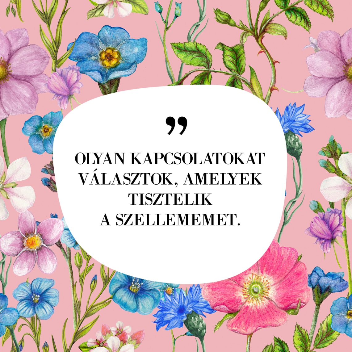 „OLYAN KAPCSOLATOKAT VÁLASZTOK, AMELYEK TISZTELIK A SZELLEMEMET.”