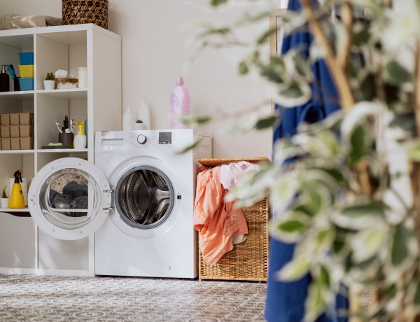 Így tisztítsd meg az elöltöltős mosógépet, hogy megszabadulj a rossz szagoktól