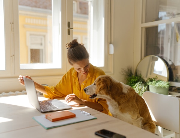 Dekódold kutyád vonásait! Ilyen a személyisége zodiákusa alapján 