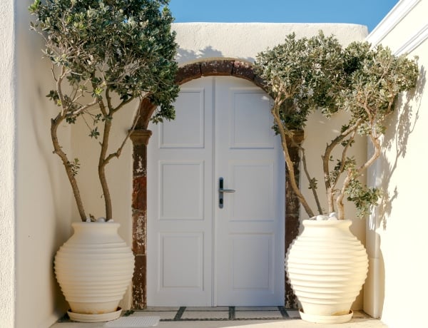 Ez a 6 csodaszép fa konténerben is jól érzi magát 