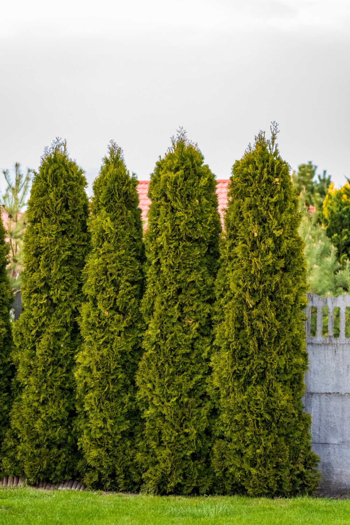 Megelőző óvintézkedések a károsodás ellen