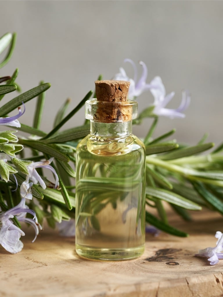 Rozmaringos riasztó