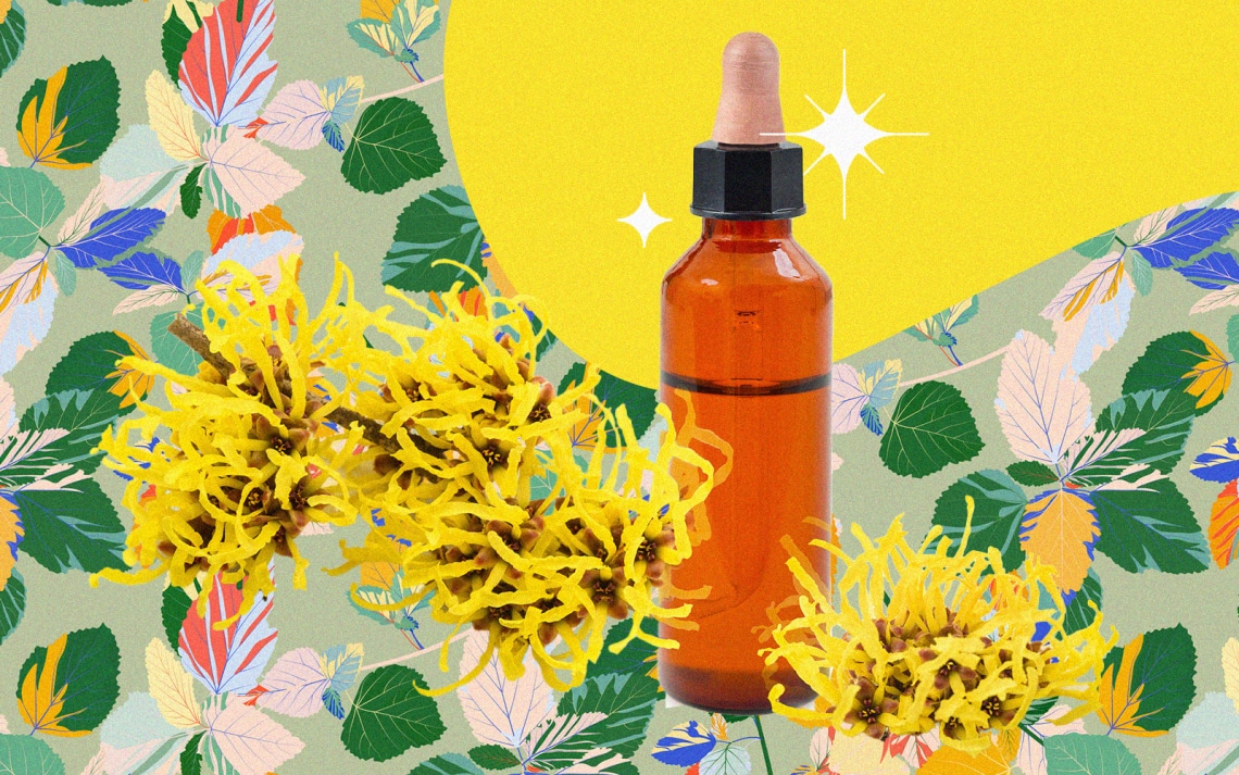 Hallottál már a varázsmogyoróról? Csökkenti a gyulladásokat, pattanások, ekcéma esetén is kiváló