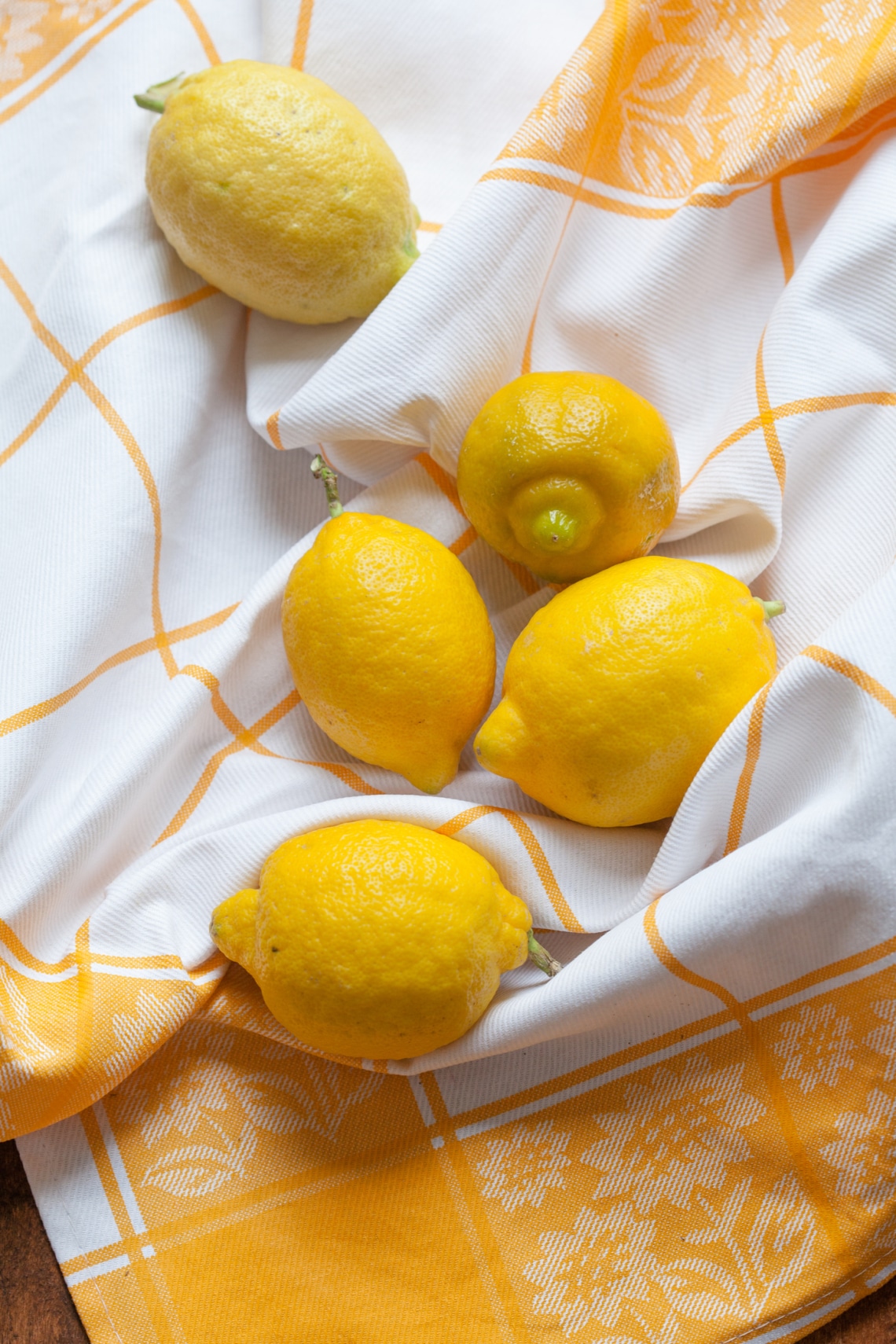 Citrusfélék