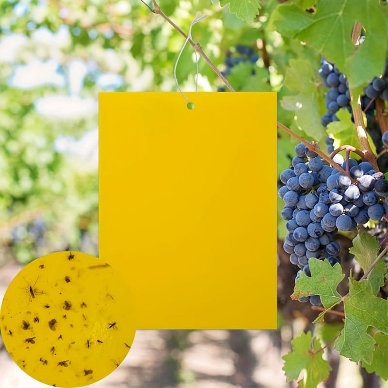 Egyedi DIY muslinca papír