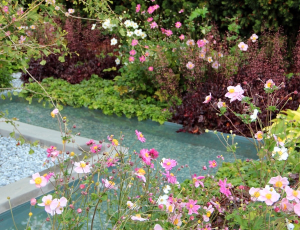 Ezek a vízikertek úgy hatnak rád, mint egy mini vakáció otthon