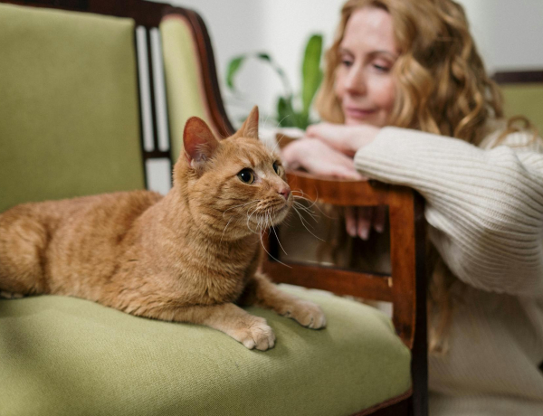 „Egyedül öregszel meg, sok macskával!” Sok nő szerint ez nem hangzik rosszul
