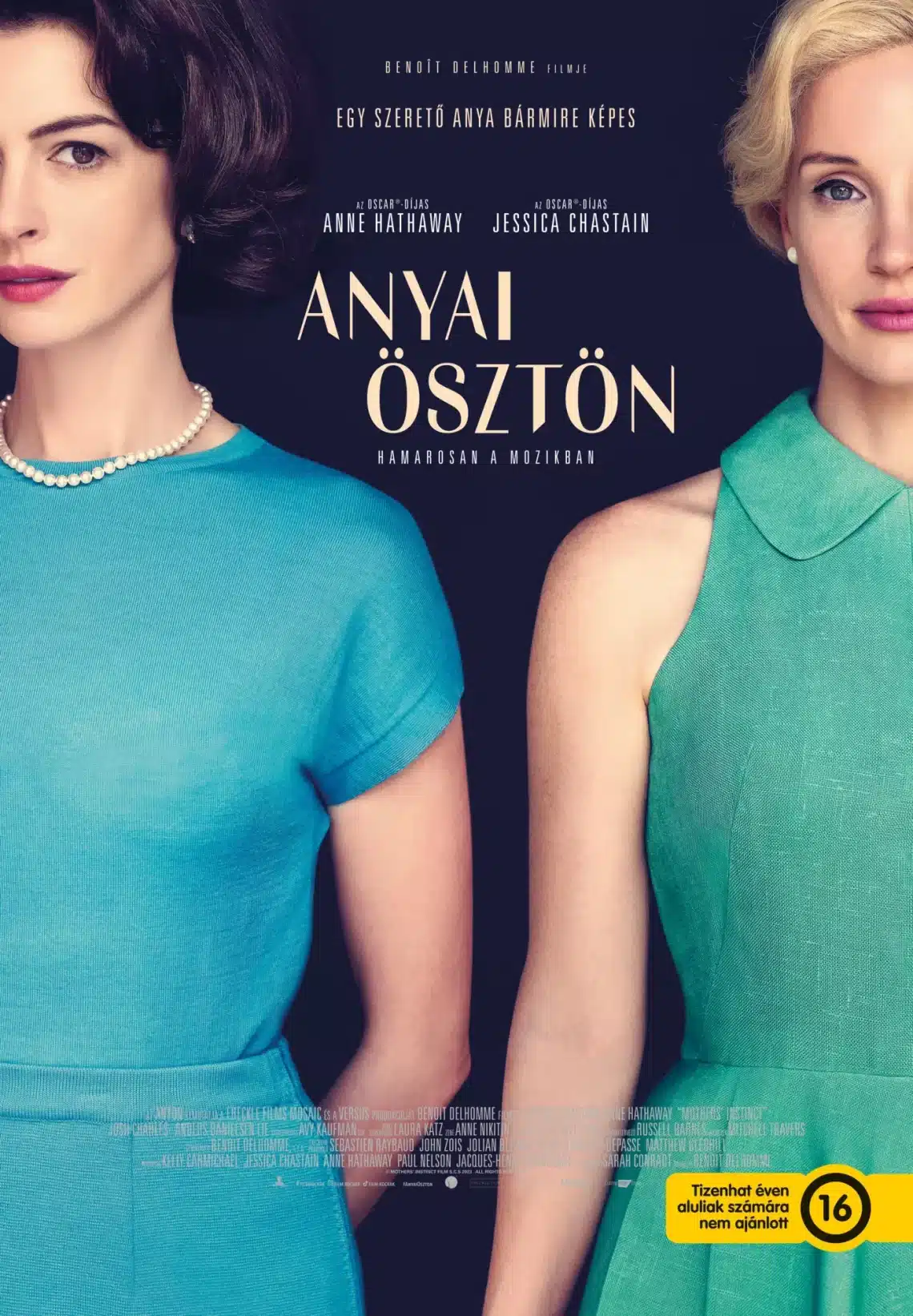 Anyai ösztön (2024)